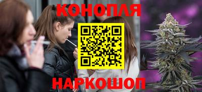 спайс Обь
