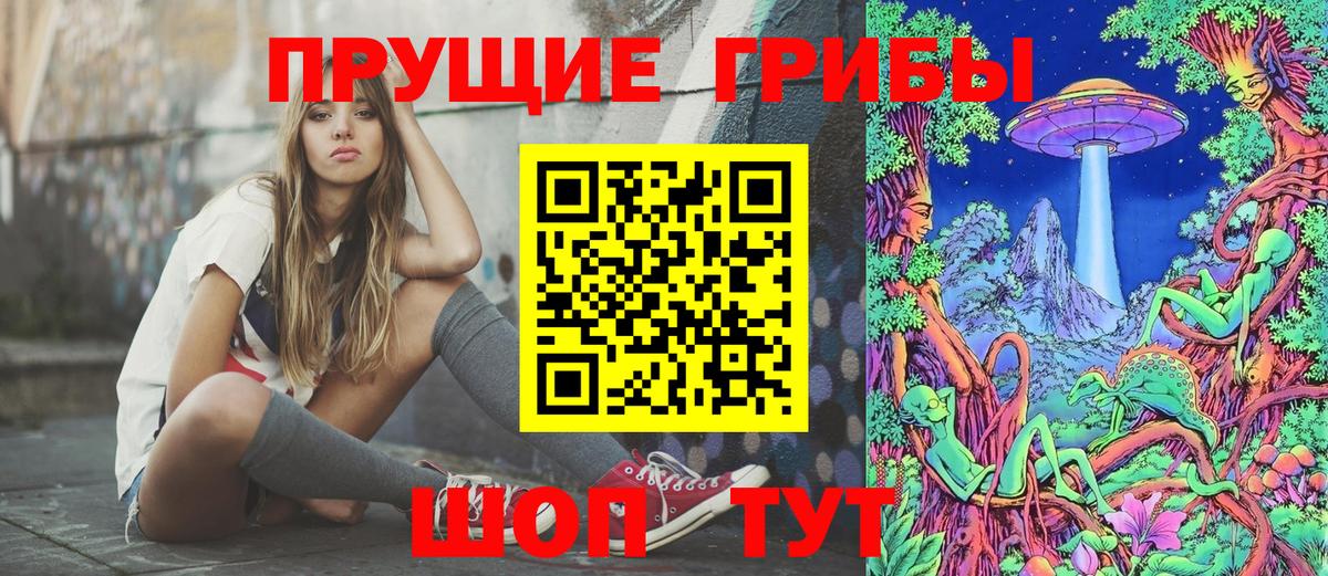 Псилоцибиновые грибы Psilocybine cubensis Ростов Великий