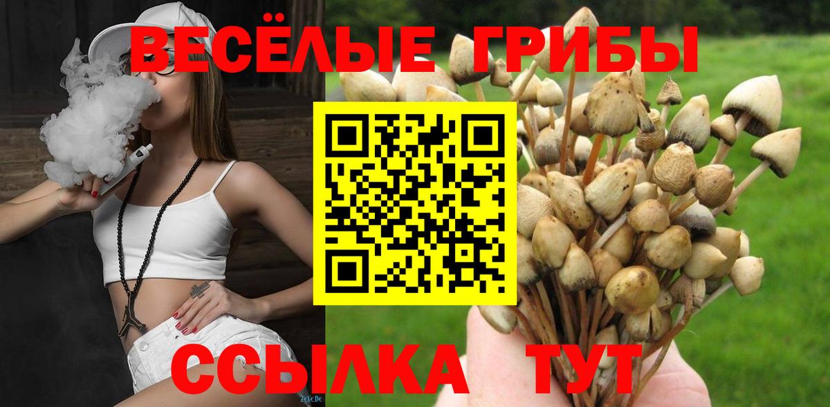сколько стоит  Вход с VPN  Ростов Великий  Псилоцибиновые грибы Magic Shrooms 